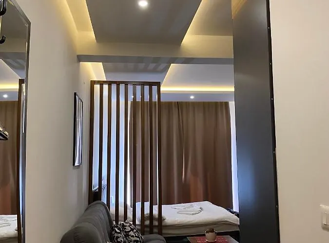 Milosavljevic-president Kop 公寓 科帕奥尼克