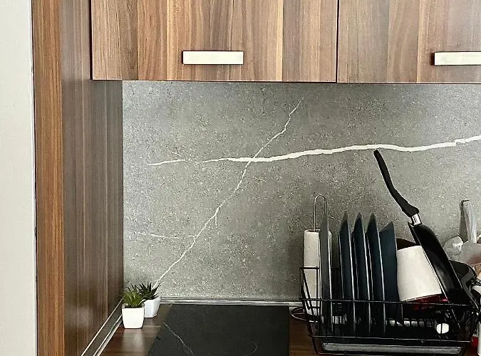 Milosavljevic-president Kop