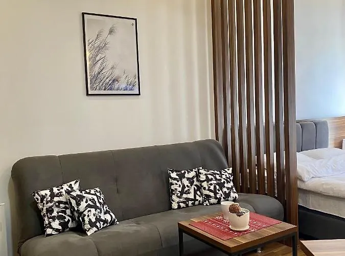 Milosavljevic-president Kop 公寓