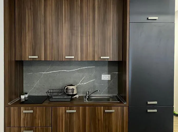 Milosavljevic-president Kop 公寓 *